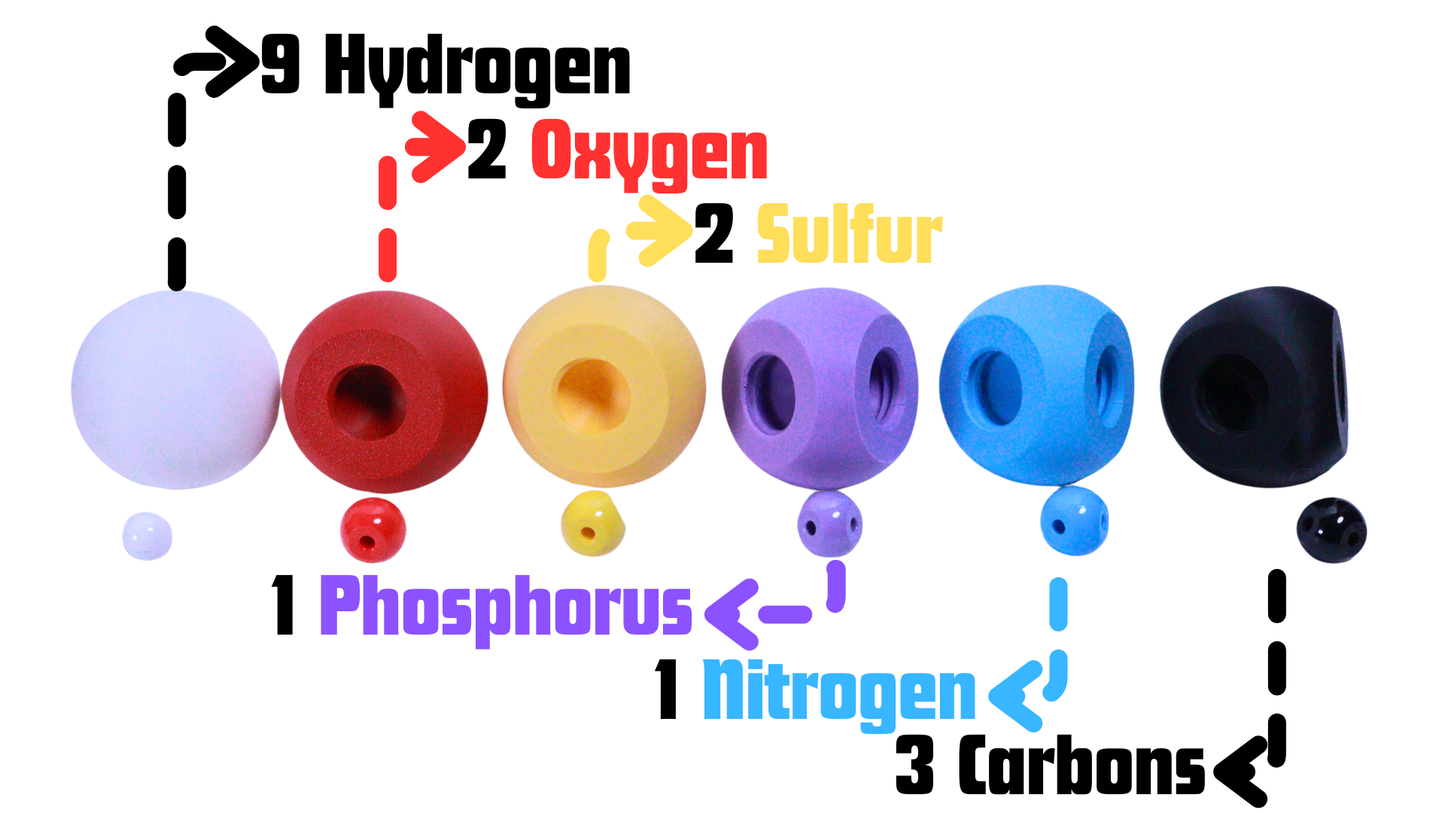Giant Molecular Model Set (3D Printed)