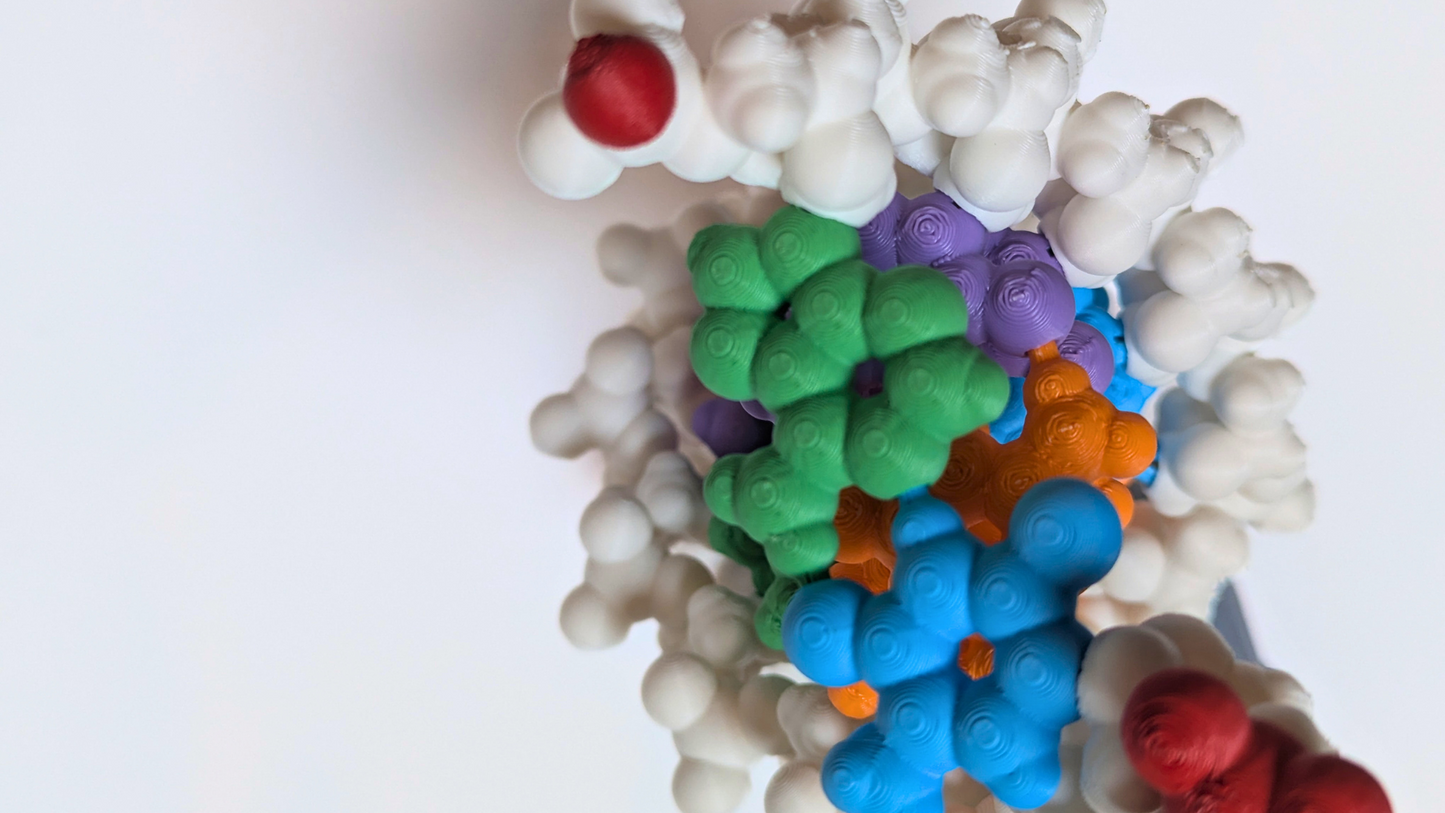 DNA Model Puzzle Kit (3D printed)