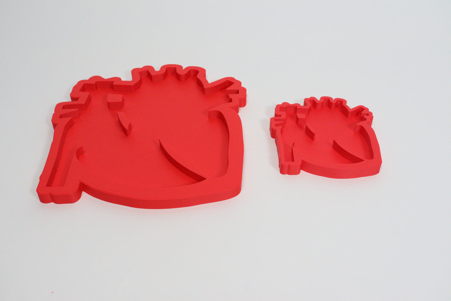 Heart Anatomy & Blood Flow Learning Model