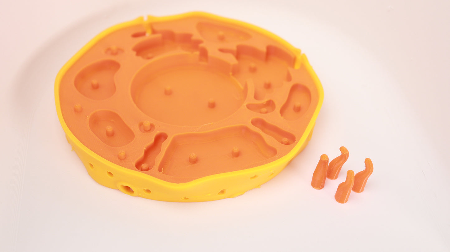 Animal Cell Model Kit (3D Printed)
