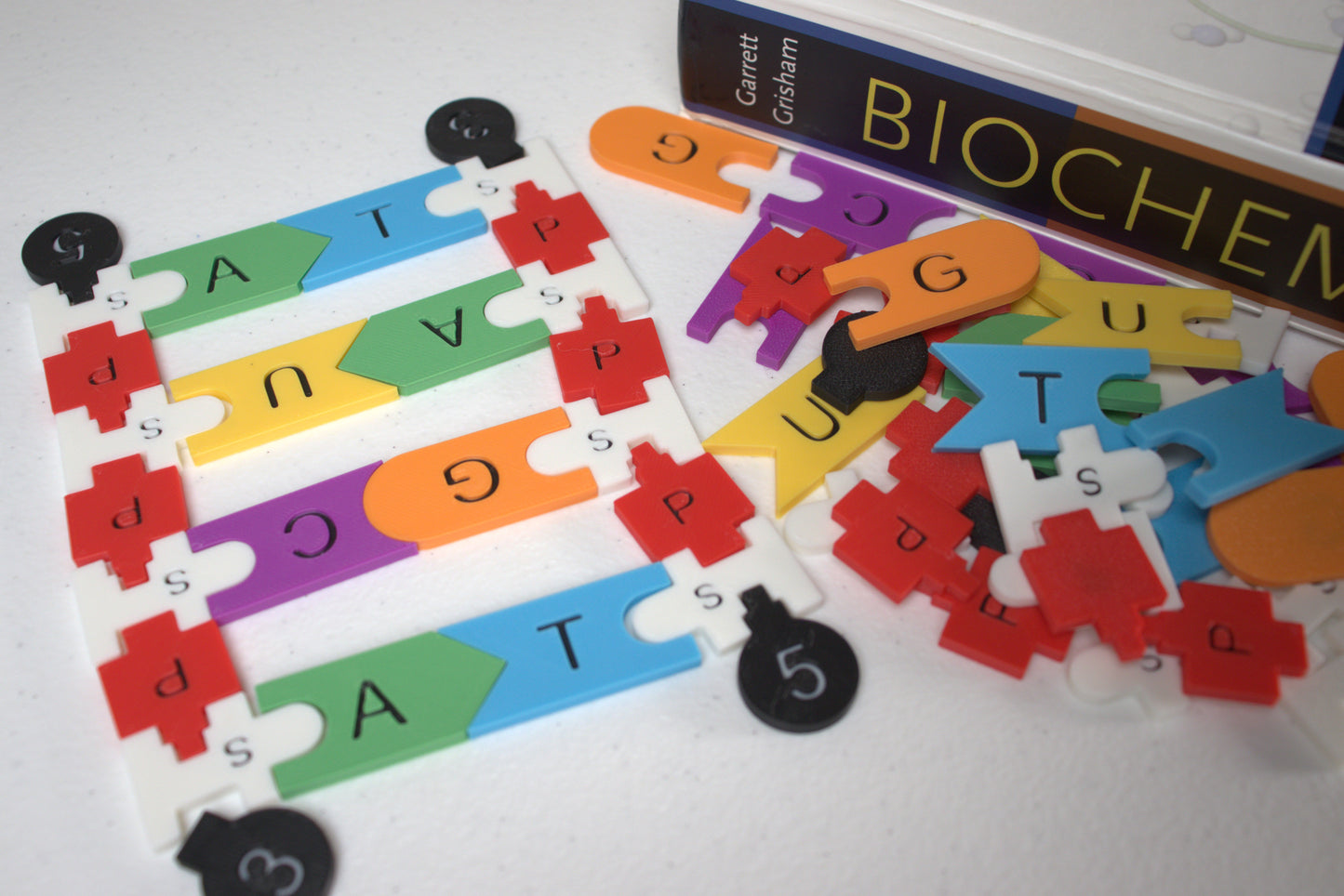 DNA Building & Practice Kit for Teaching and Classrooms