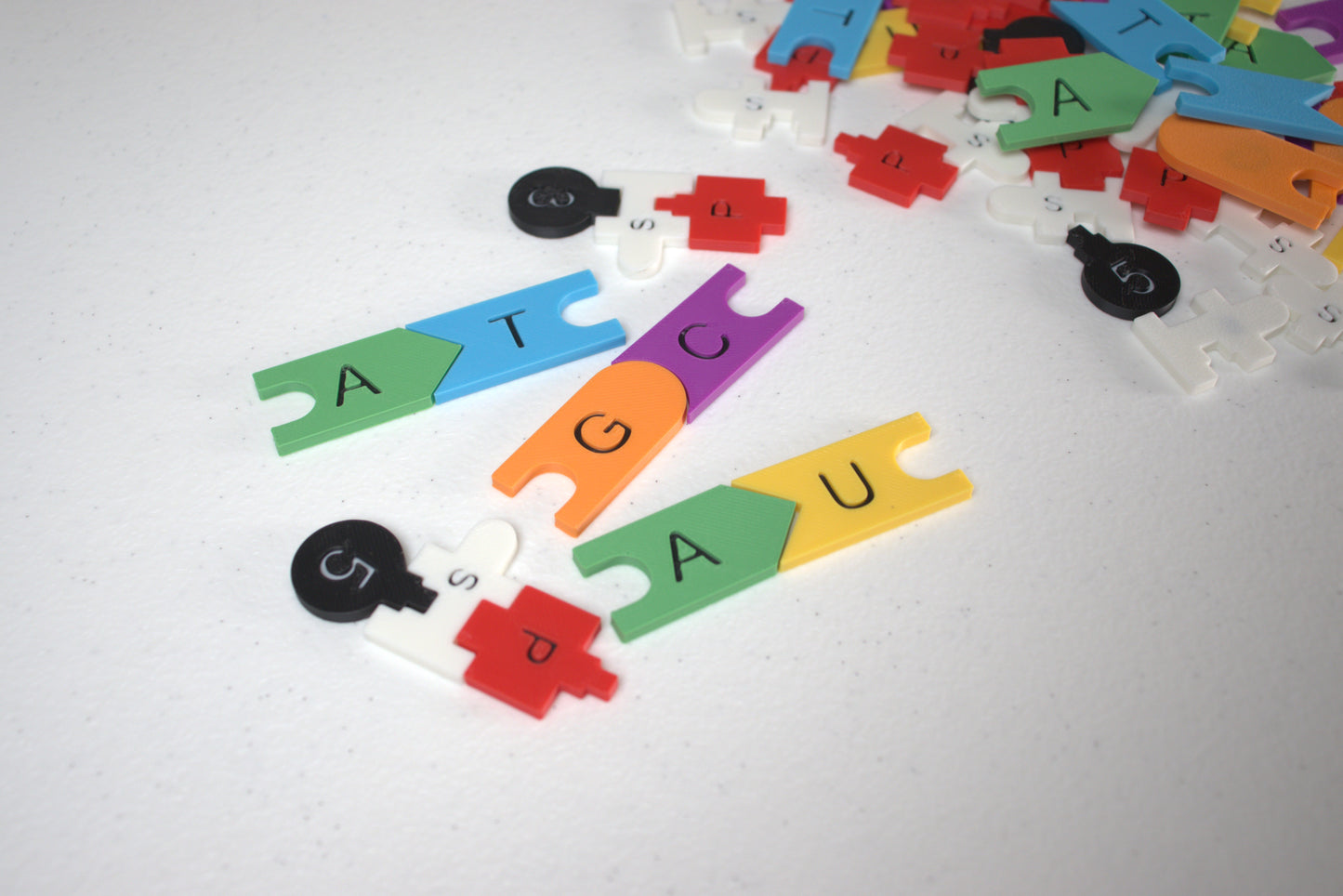 DNA Building & Practice Kit for Teaching and Classrooms