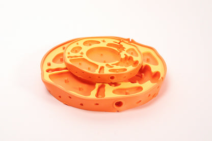 3D Animal Cell Model Puzzle