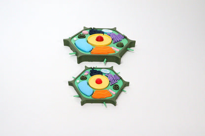 3D Plant Cell Model Puzzle