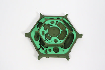 3D Plant Cell Model Puzzle