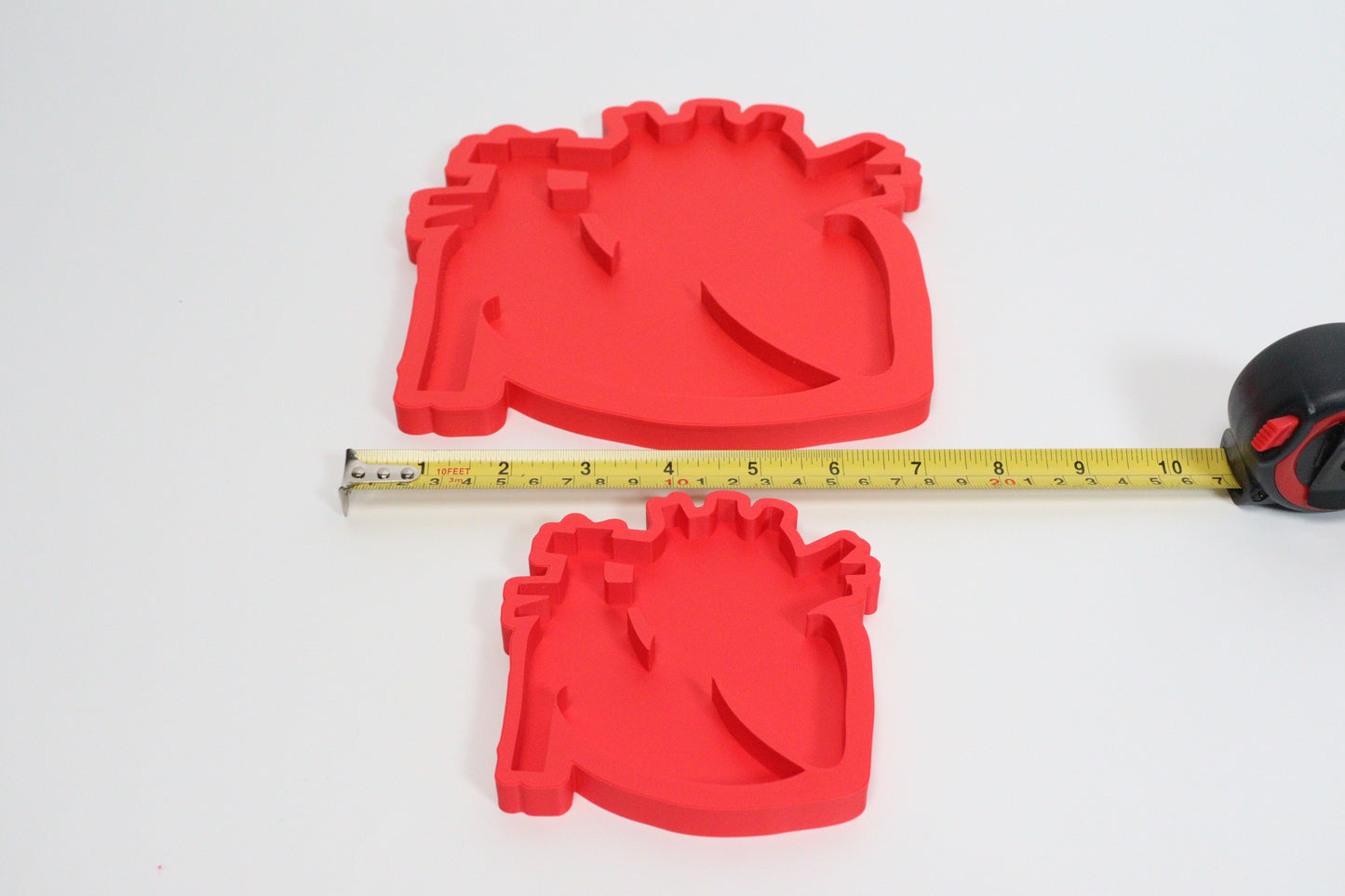 Heart Anatomy & Blood Flow Learning Model