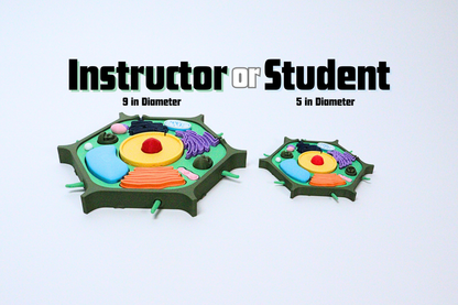 3D Plant Cell Model Puzzle