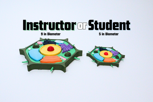 3D Plant Cell Model Puzzle